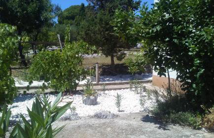 Eco Secluded apartments Zabodarski - Foto 16