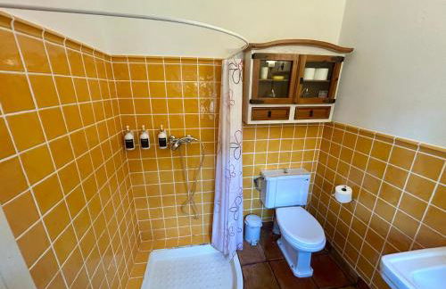 La Washingtonia - Foto 13