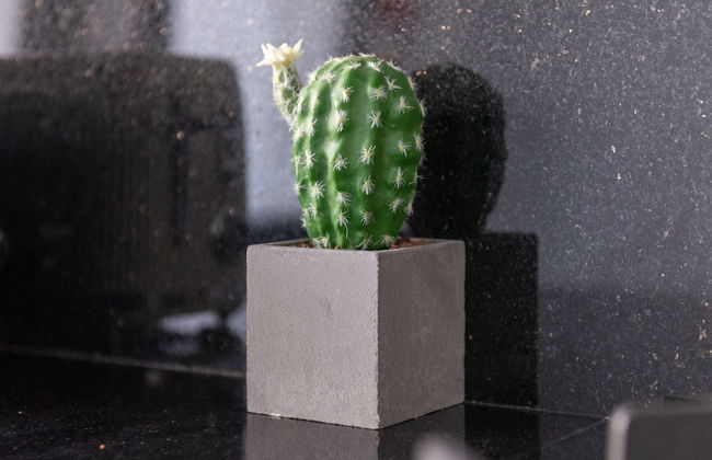 Appartement Luxueux à Draria - Photo 26