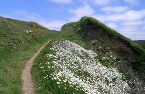 The Old Farmhouse Kitchen - Foto 27