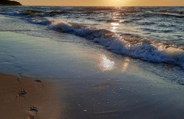 Morskie Sarbinowo - Photo 22