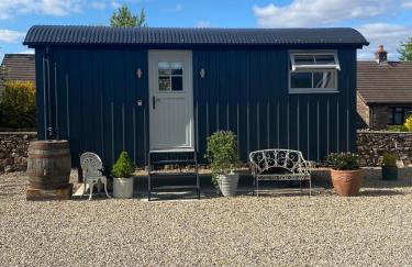 Ewes Rest Shepherds Hut - Photo 1