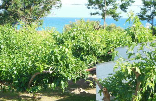 Helonata Apartments - Foto 43