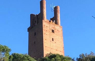 La Casa di Nena - San Miniato - Foto 43