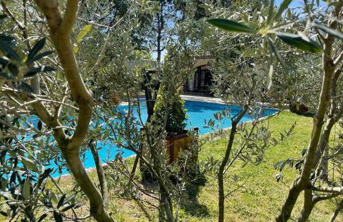 Gite au coeur de la Provence & SPA - Foto 26