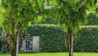 La Casetta del Lago - Foto 3, Garden