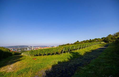 Nettes kleines Apartment mit Stellplatz - Foto 21