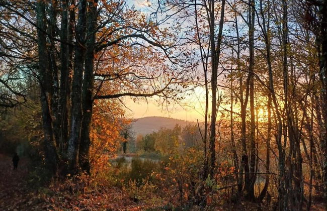 Country House Near Parc du Morvan With Pool - Foto 37