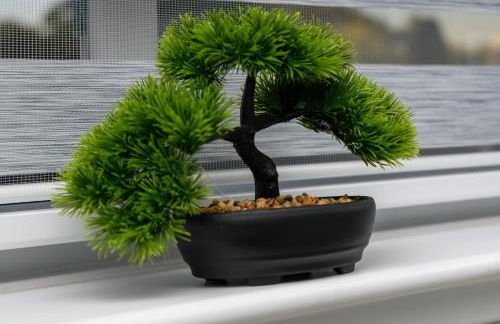 The Whitehouse M6, Junction 10 With Parking - Foto 14