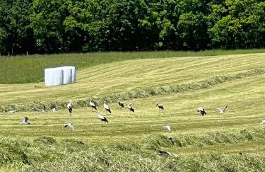Cuda Wianki Mazury - Foto 32