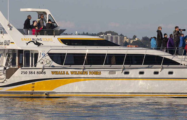 Strait of Juan de Fuca Boat Trip - Foto 1