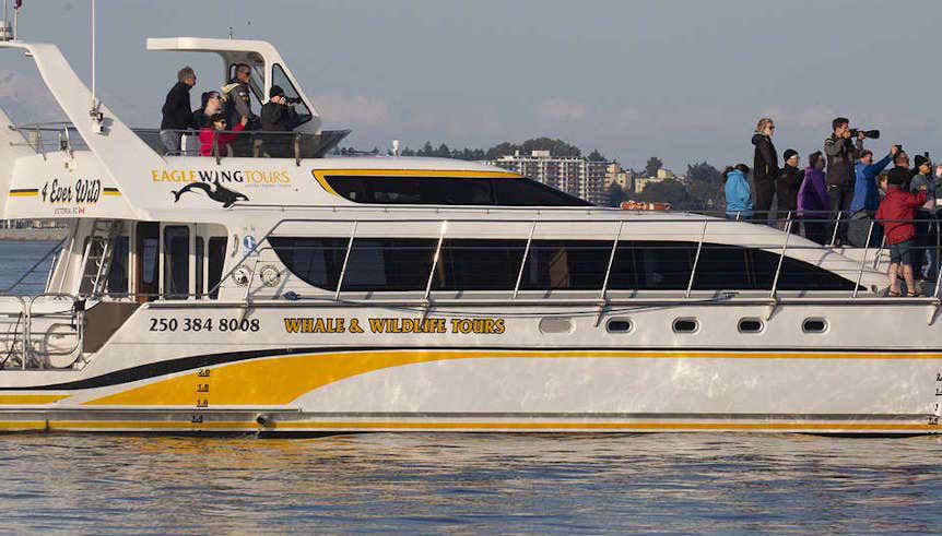 Strait of Juan de Fuca Boat Trip - Foto 1