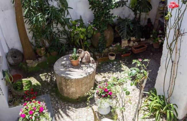 House Inside the Castle Obidos - Foto 18