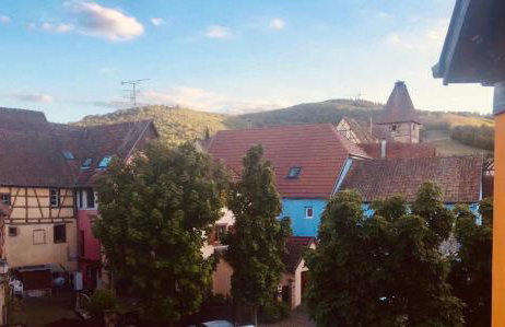 AUX DEUX CIGOGNES AMMERSCHWIHR - Foto 38