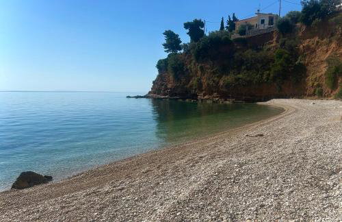 Apartment Xenia - Photo 14