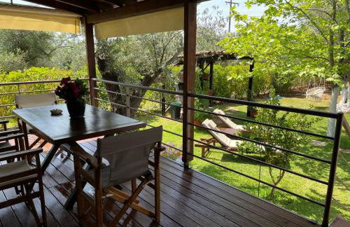 Les Olives Woodhouse - Foto 12