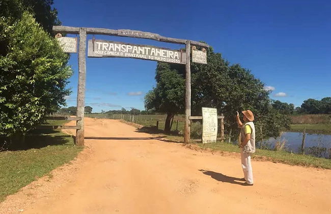 Safari por el pantanal de Mato Grosso - Foto 8