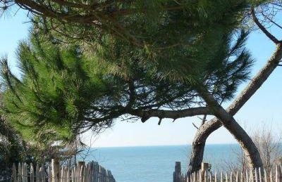 La Couarde sur Mer, maison pour 6 personnes - Foto 17