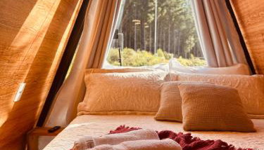 Chalé Araucárias Cambará do Sul - Foto 4