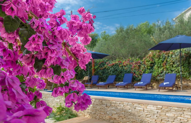 Villa Anna - Photo 51