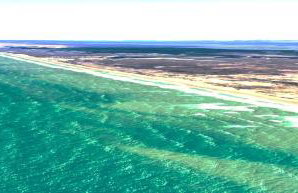 South Padre Stayz - Foto 80