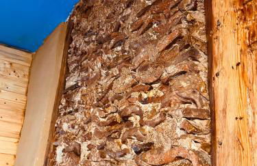 Vintage Home 55 Direkt am Fuße zur Wartburg - Foto 51