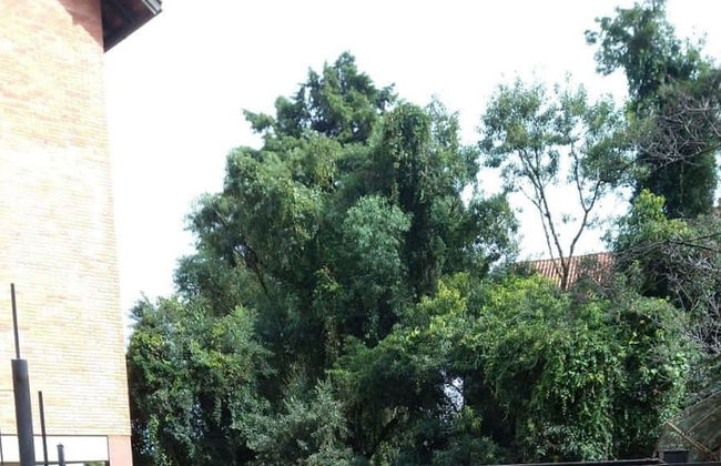 LOCAR-IN GRAMADO- Morada de bergamo - Foto 26