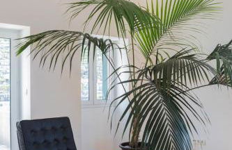 Casa Mar Adentro - Foto 7