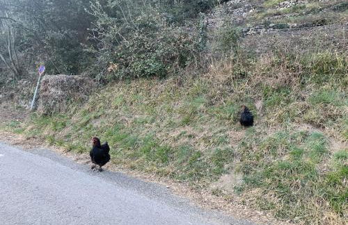 Villa La source & SPA - Photo 44