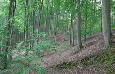 An den Sieben Seen - Foto 35