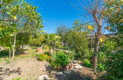 Construcciones Balaguer - Foto 43