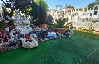 La Magnolia - Locazione Turistica - Foto 34