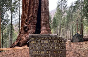 BunkHouse 1960's Camp Vibe with Timeless Wet Bar - Foto 80