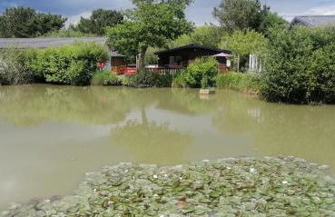 Shorefield Lodge by the Lake - Foto 17