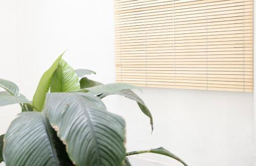 La Cochera Casa Emblemática en Santa Cruz de Tenerife - Foto 25