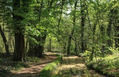 Appartement familial avec terrasse et parking - Foto 31