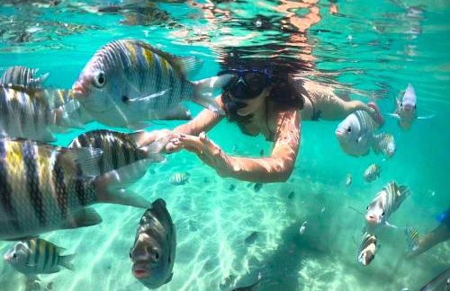 Apartamento 03 · Aeroporto/ Rodoviária - Com Conforto - Foto 20