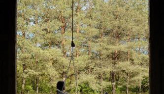 Sztuka Lasu - Foto 3