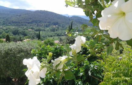 Villa l'Edenca - Foto 41