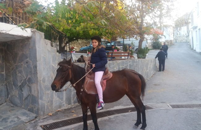 Petrinos Milos - Foto 26