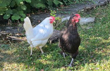 Chalet Ro'mence, aux portes de la Savoie - Foto 17
