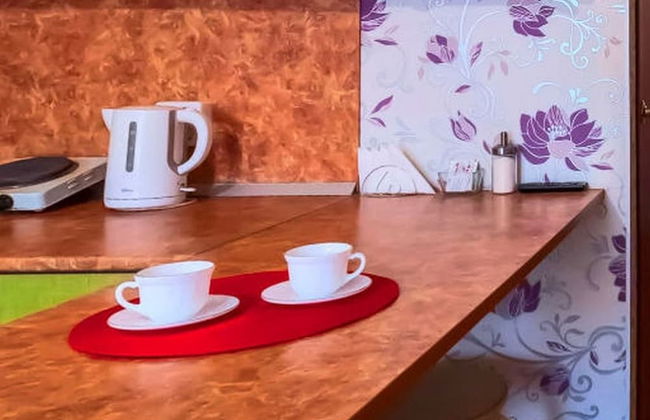 ApartHotel Oksana - Photo 26