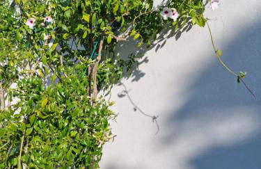 Green Palace - Foto 28