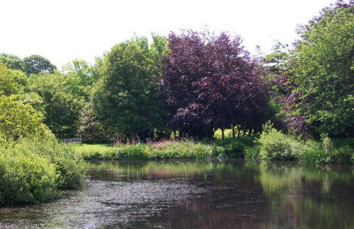 Polgwedhen Lodge - Photo 30