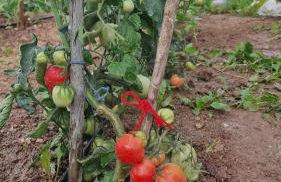 La Cabanya de Can Ganasta - Photo 56