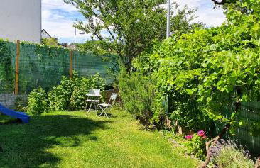 Ahr-Weinbergblick - Foto 45