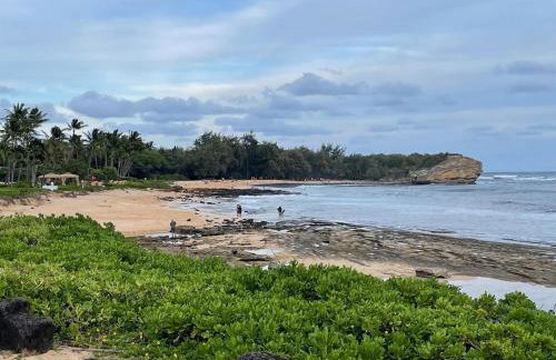 Honu He'e Nalu - The Surfing Turtle - Ocean & Beachfront! Stunning Views! - Foto 22