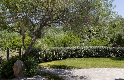 Residence Capraggia - Foto 17