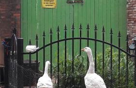 Landhaus Ferienwohnung Wagner - Foto 26