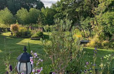 Room with a View - Photo 15